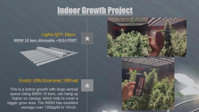 800W Vertical Farming Smart Control Full Spectrum Spider Adjustable Medical Flowers LED Grow Light