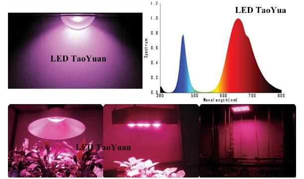 LED Grow Light Full Spectrum 380-840nm 100W