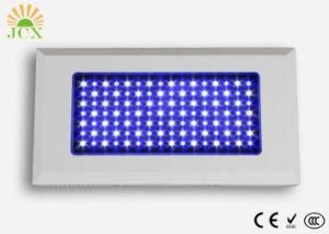 Cheap 120 Watt LED Aquarium Light for Aquarium Lighting