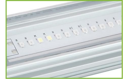 120W LED Grow Light Bar High Efficacy for Greenhouse