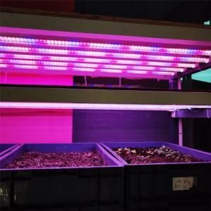 New Design High Quality LED Tube T5 T8 Grow Light 300mm/600mm/900mm/1200mm for Hydroponic Indoor Greenhouse / Garden Plants