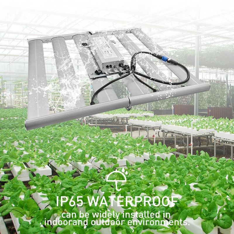 Samsung Official Partner LED Full Spectrum Grow Light Manufacturer