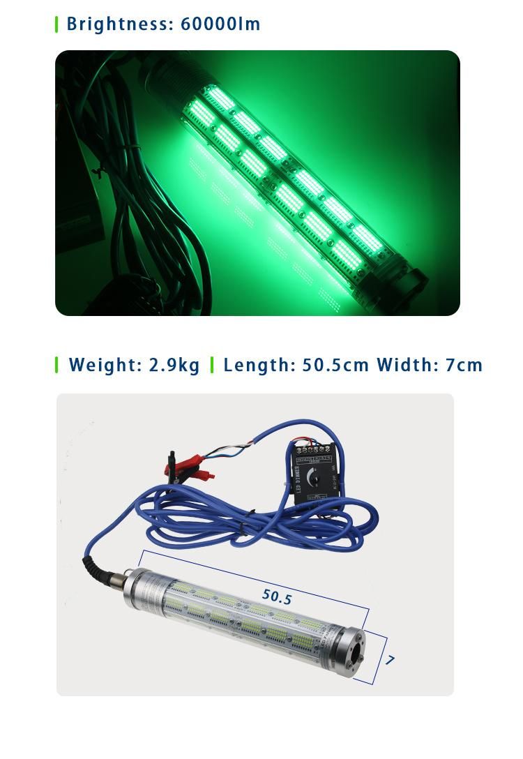 DC 12V 150W 300W Deep Drop Underwater Rechargeable Fish Lure Lamp LED Fishing Light