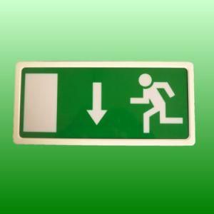 LED Exit Sign (809)