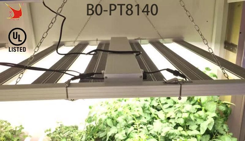 Bonfire High Pure Aluminum LED Grow Light Suit in The Greenhouse