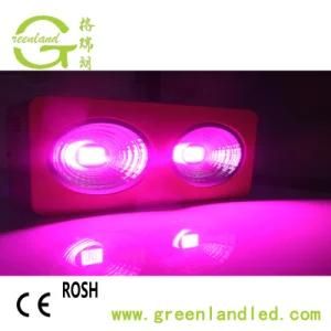 Full Spectrum 400W COB LED Grow Lamp for Greenhouse and Indoor Plant Flowering Growing