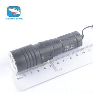 Mini Gift Torch XPE CREE LED Rechargeable Flashlight (SS-XB034)