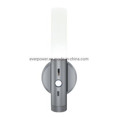 USB Rechargeable Motion Sensor LED Night Light with Magnets (SR030)