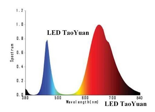 LED Plant Grow Flood Light with COB 380-840nm 30W