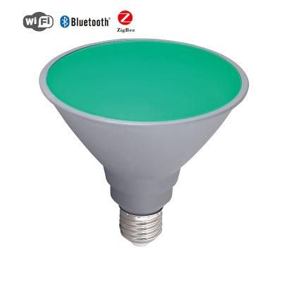 Smart Bulb PAR38 25000f Life Span Green LED PAR Light