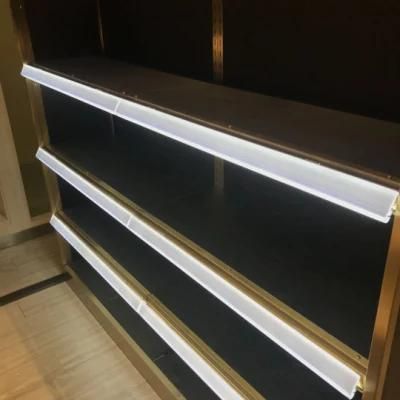 Modern Low Voltage LED Tag Light Design for Shelf Lighting