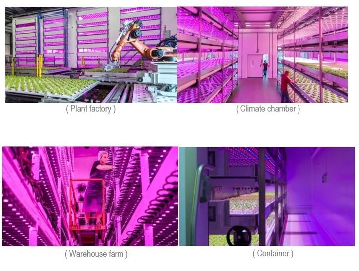 Vertical Farm Full Spectrum LED Tube LED Grow Light for Tomato, Flower, Strawberry and Vegetable