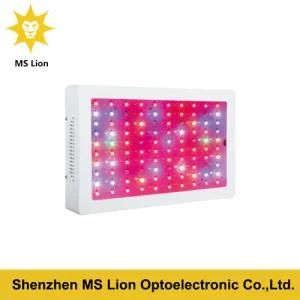LED Grow Light 500W for Indoor Greenhouse Planting - Flowers/Seeds/Vegetables