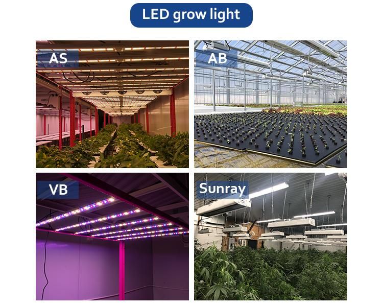 Custom Power Top Hanging Grow Light Hydroponic LED Plant Lights with Full Spectrum and Dimmer