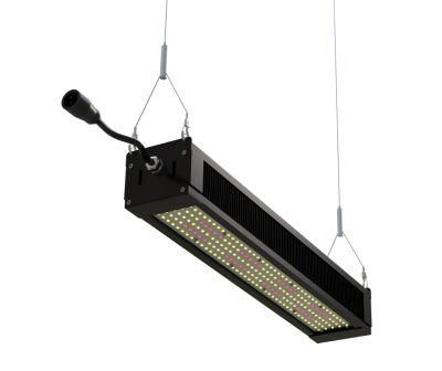 Ilummini 320W Hydroponic Grow LED Light with Full Spectrum Plant Lamp