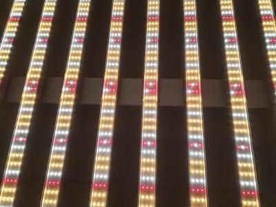 ATA Best LED Grow Light Lm301b Lm301h 800W for Vertical Farming Greenhouse Light