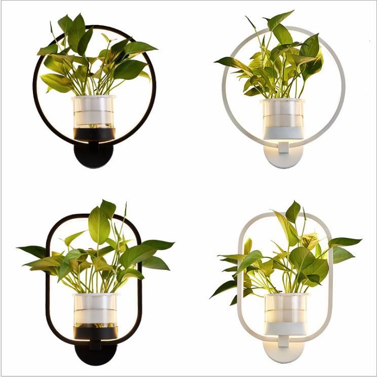 Wholesale Hydroponics Kit Full Spectrum LED Grow Plant Light