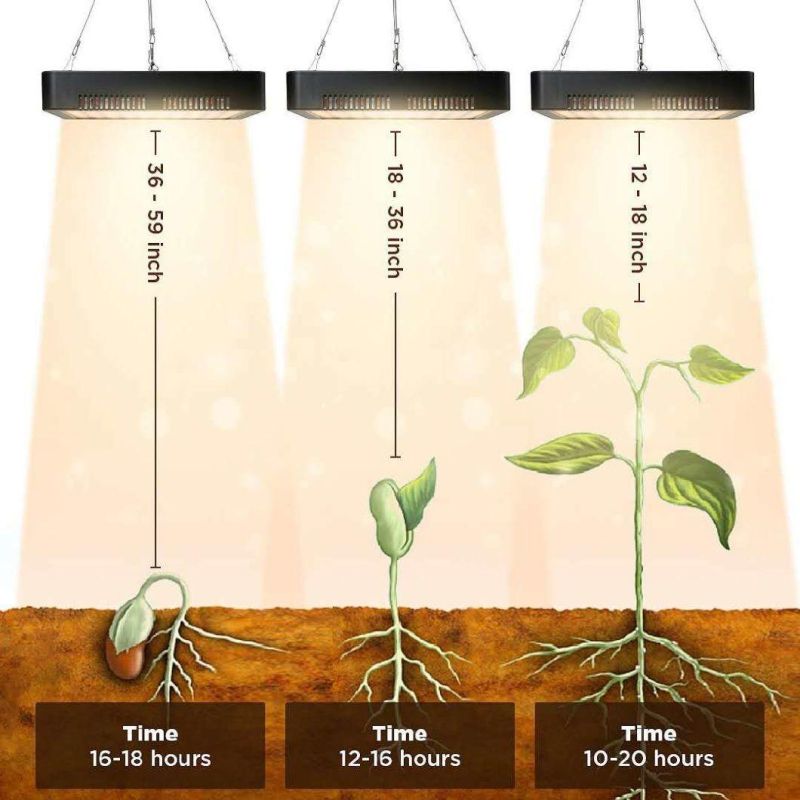 Full Spectrum LED Lighting LED Grow 150W European Standard King LED Grow Light