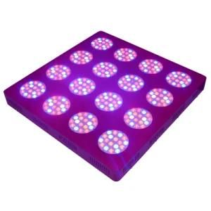 Hydroponic 600W Full Spectrum LED Grow Lighting for Greenhouse
