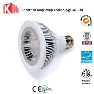 E27 PAR30 LED Bulbs 10W Waterproof IP65