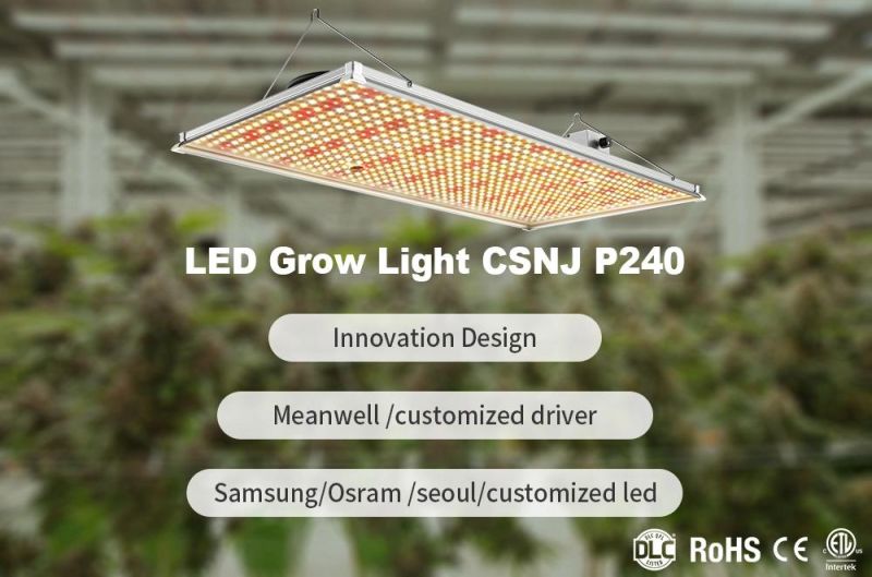 ETL Certified Competitive Full Spectrum 240W LED Photon Board Grow Panel for Indoor Plants