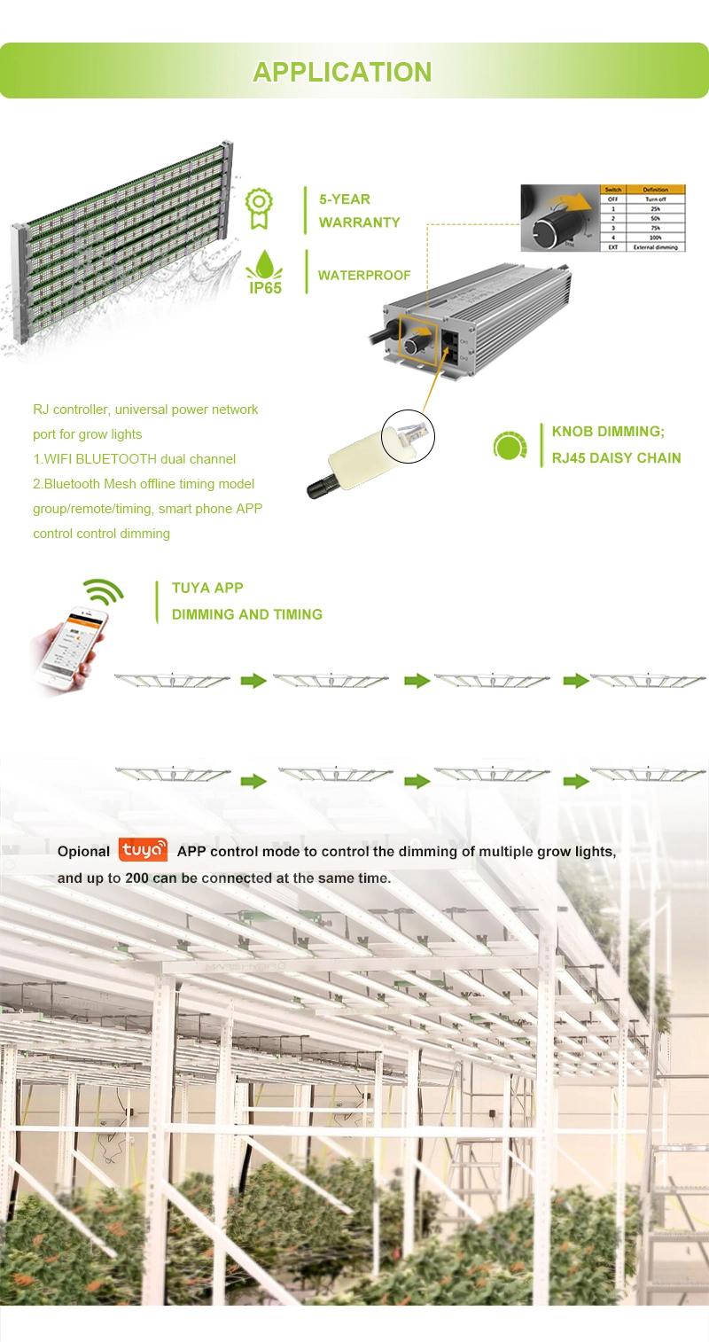 China Factory Wholesale 1000W Watt Full Spectrum Samsung Greenhouse Hydroponic Systems Plant Lamp LED Grow Light Pvisung Full Spectrum Grow Light