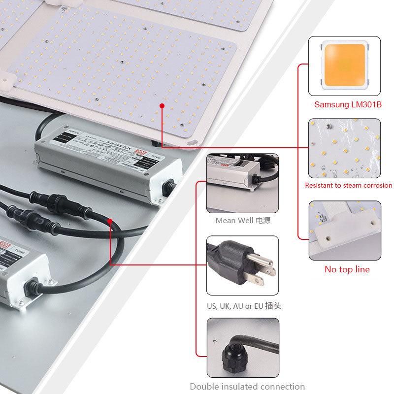 Location in The Greenhourse Bonfire Better Design LED Grow Light with UL Certification