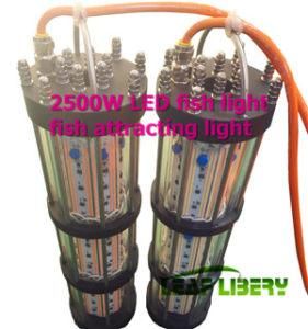 LED Underwater Fishing Light / Lure Fish / Fish Aggregating Devices Underwater Light / Fish Lamp Fish Lamp
