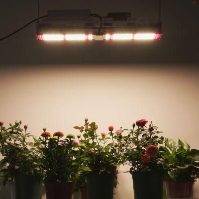 320W 640W Lm301h High Efficacy Grow Lamp High Harvest LED Grow Light for Greenhouse Lighting