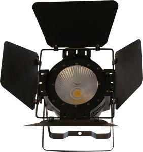 2CH 200W Warm White COB LED PAR Light with Barn Door