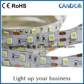 Ce and RoHS Certificated LED Laminate Light Using Superior Quality Resistance