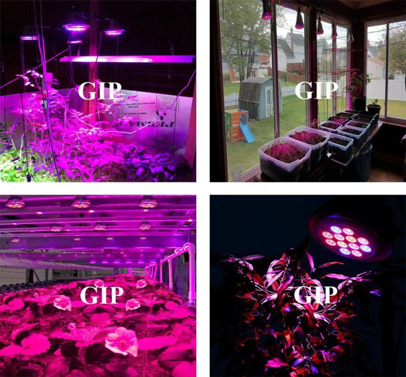 E27 12W High Brightness Edison Plastic Restaurant LED Grow Light