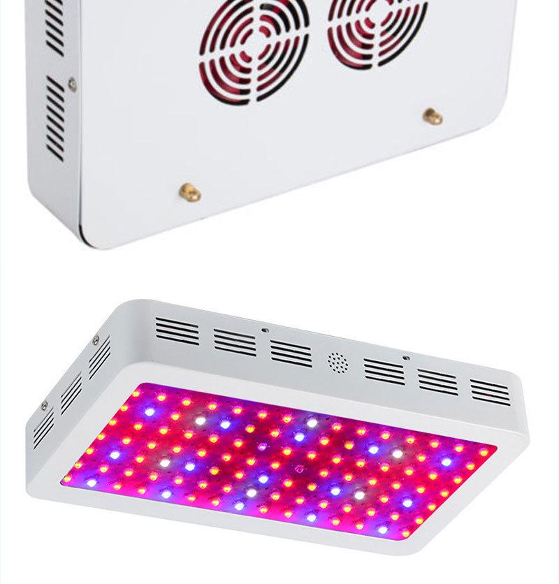 Best Price Full Spectrum Quantum Plant 600W 1000W 1200W LED Grow Lights Medical Plants LED Plant Lighting 300W Indoor Vertical Farming LED Grow Light