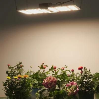 2021 Best Sell Quantum Board SMD Full Spectrum Meanwell Driver LED Grow Panel Light