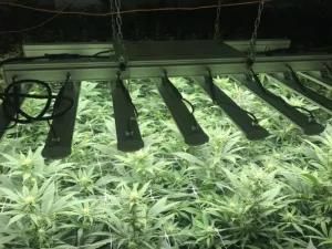 4X6 4X4 Yields up to 4 Lbs Lm301h Lm301b Dimmable Full Spectrum LED Grow Light