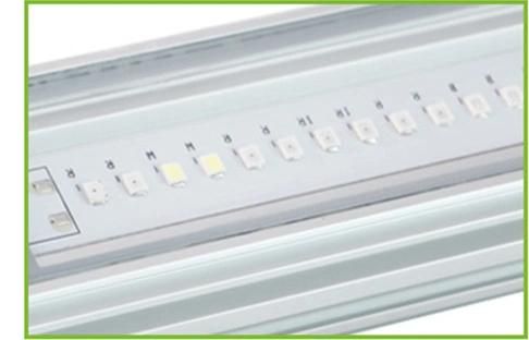 Double-Sided 20W 30W 40W 50W 60W LED Grow Light for Tomato Indoor Hydroponics Lettuce Grown