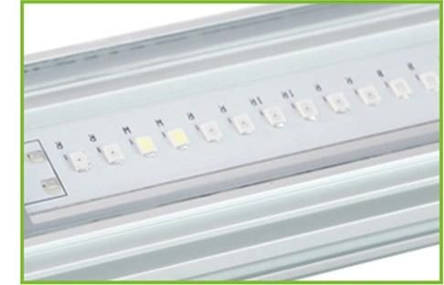 Double-Sided 20W 30W 40W 50W 60W LED Grow Light for Tomato Indoor Hydroponics Lettuce Grown