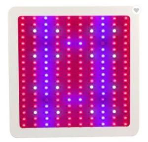 Greenhouse Research Facilities Duel-Chip 1800W Full Spectrum LED Grow Light