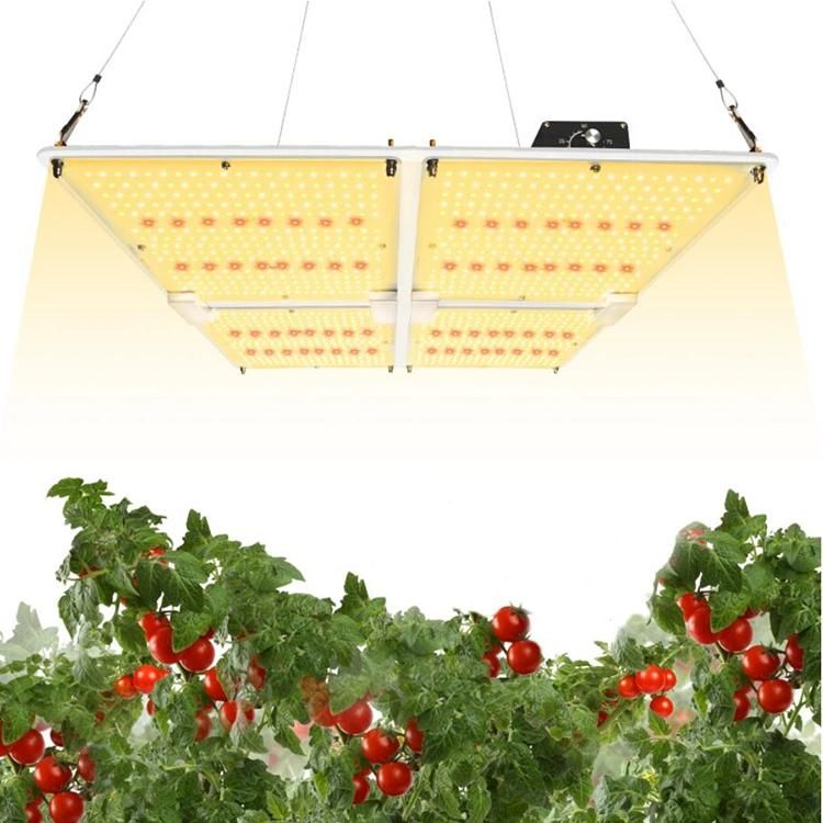 480W Samsung Diodes Knob Dimming 480 Watt Qb LED Grow Tent Light with 3-Year Warranty