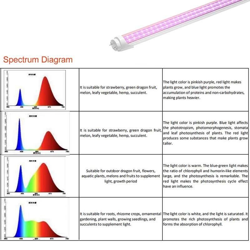 LED Plants Light 1200mm Fleshy Vegetables and Flowers Grow Light in Greenhouse T8 Lamps
