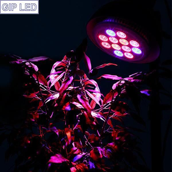 2016 Newest E27 12W 24W PAR38 Grow Plant LED Light