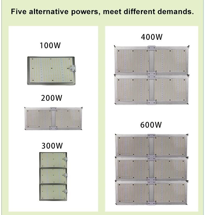 100W 200W 300W 400W 600W Hydroponic Quantum Board Lights Sulight Full Spectrum LED Grow Light