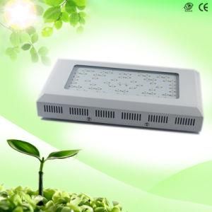 Hot Selling Full Spectrum 180W LED Grow Lighting for Greenhouse Hydroponics Flowering and Blooming