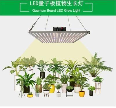 Full Spectrum OEM Greenhouse Fixture 480W LED Grow Light Microgreen Hydroponic System Growing Light for Vegetables
