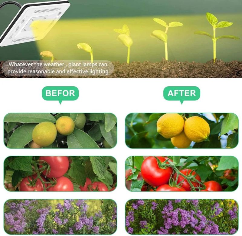 200W Full Spectrum with 60" Extendable Tripod Stand Auto on/off Timing Function Floor Plant Grow Panel Light for Indoor Various Plants