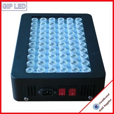 Hydroponic System 300W LED Grow Lights for Greenhouse