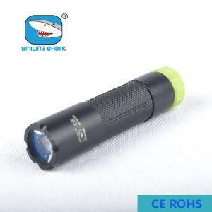 Mini Portable USA Q5 CREE LED Flashlight Diving Torch