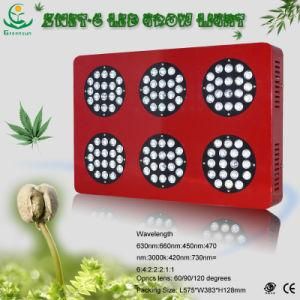 China Manufacturer Greensun Hot Sale LED Grow Light Series Znet