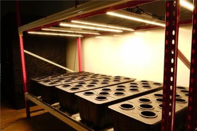 UL Approved White Light LED Grow Lights