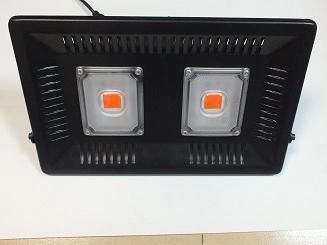LED Plant Light